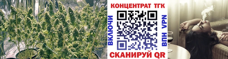 ТГК вейп  Дальнегорск 