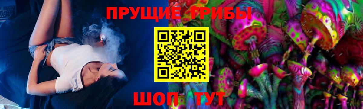 Псилоцибиновые грибы Cubensis Дальнегорск